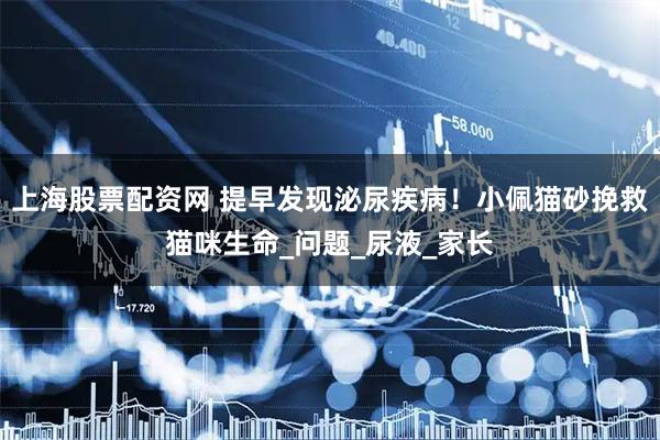上海股票配资网 提早发现泌尿疾病！小佩猫砂挽救猫咪生命_问题_尿液_家长