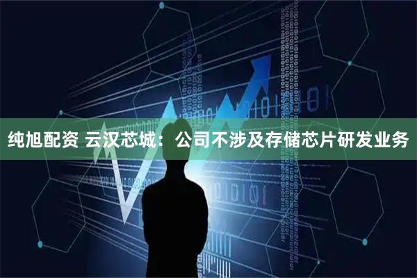 纯旭配资 云汉芯城：公司不涉及存储芯片研发业务