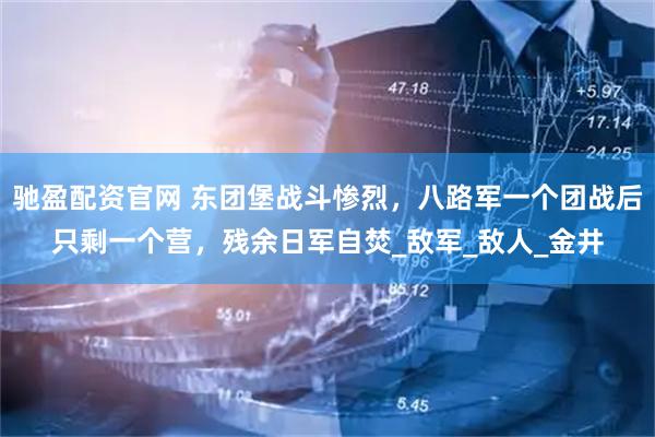 驰盈配资官网 东团堡战斗惨烈，八路军一个团战后只剩一个营，残余日军自焚_敌军_敌人_金井